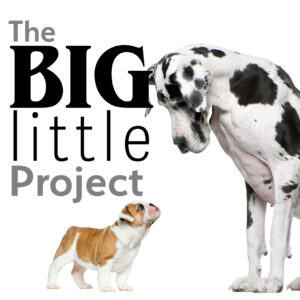 Big Little Project