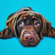 Dog3