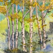 Watercolor Painting Class - birch
