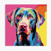 dog4